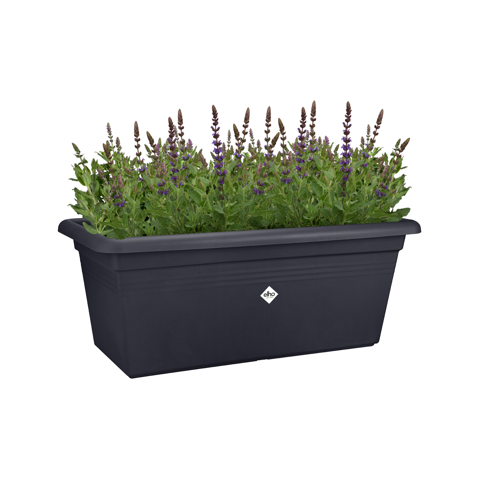 michiyoページ　スクエア　60×40×2 green basics garden xxl 60cm living black - elho® - Give room to